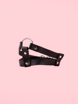 Choker Dublu Negru image 1