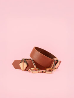 Lockink - Set BDSM Luxury Golden Leather image 1