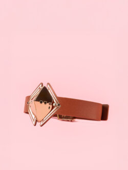 Lockink - Lesa BDSM Golden de Lux image 1