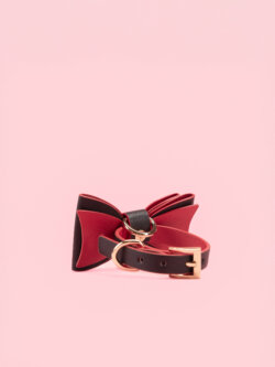 Set BDSM Elegant in Forma Papion image 2