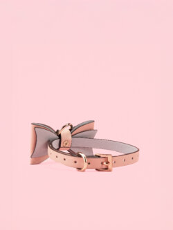 Lesa Piele in Forma de Papion image 2