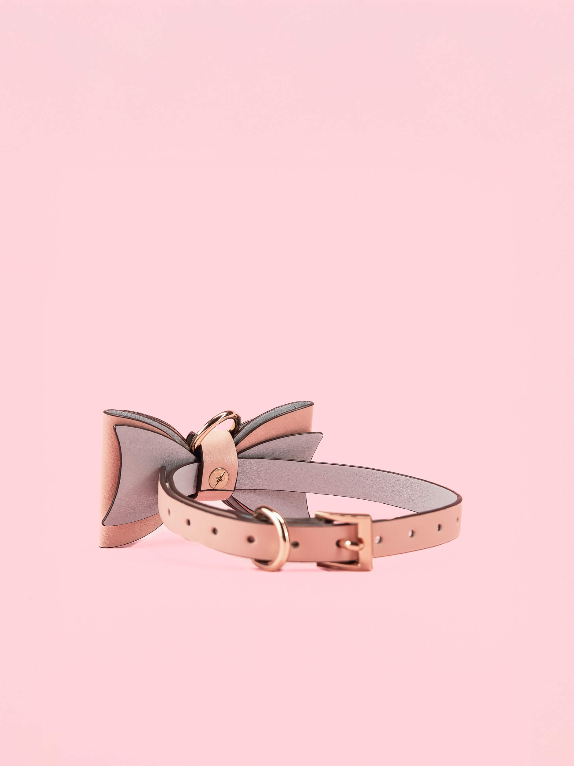 Lesa Piele in Forma de Papion image 2