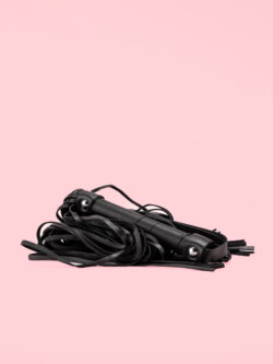 Bici BDSM din Piele Extended Version image 1