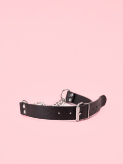 Choker Leash 2in1 image 1