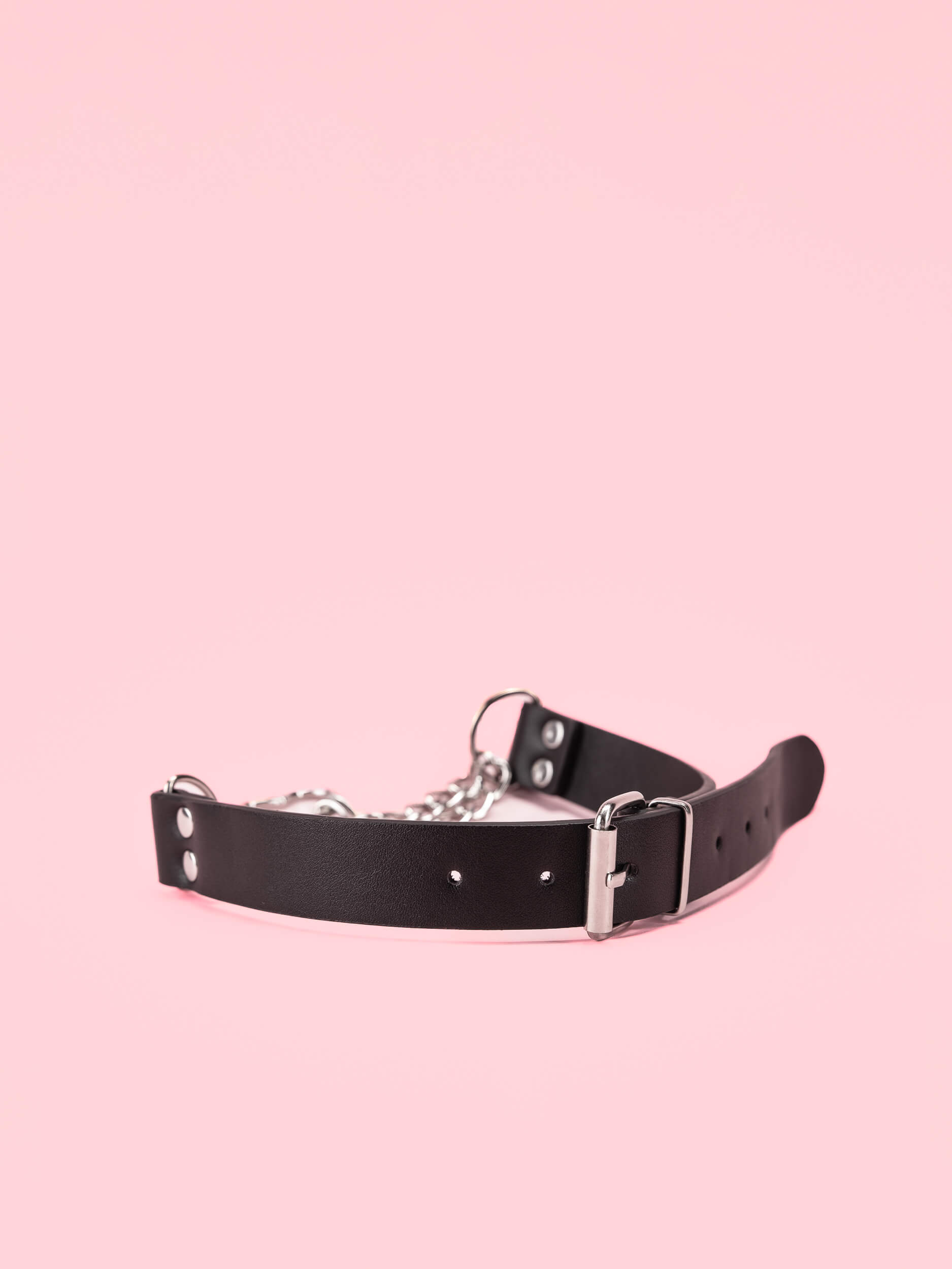Choker Leash 2in1 image 1