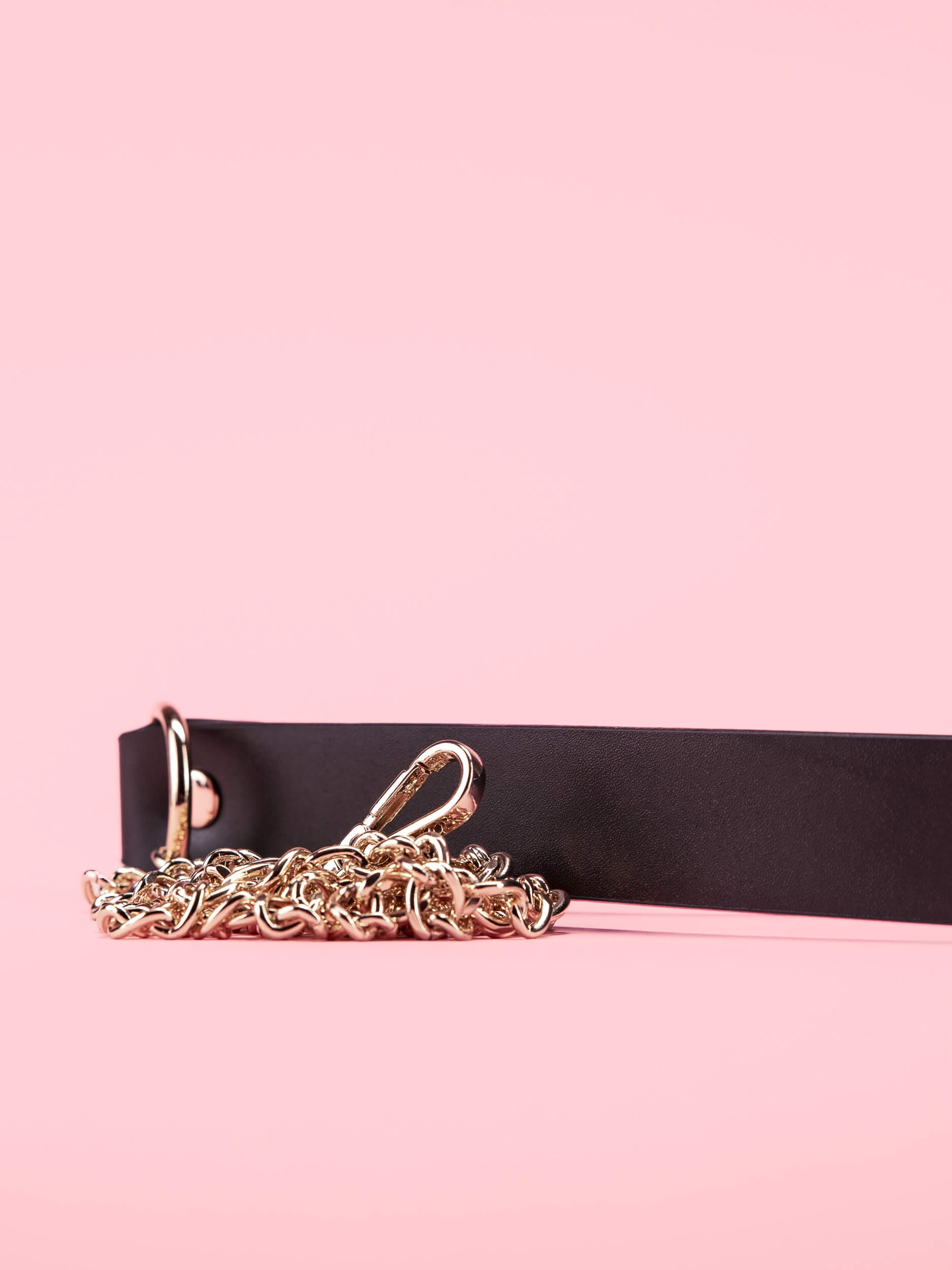 Golden Bondage Collar cu Lesa image 2