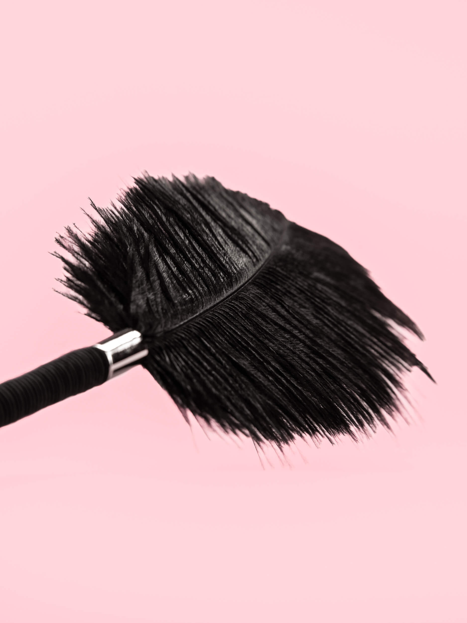 White Birdie - Pana Erotica Premium image