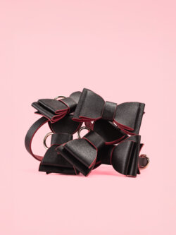 Set BDSM Elegant in Forma Papion image 1