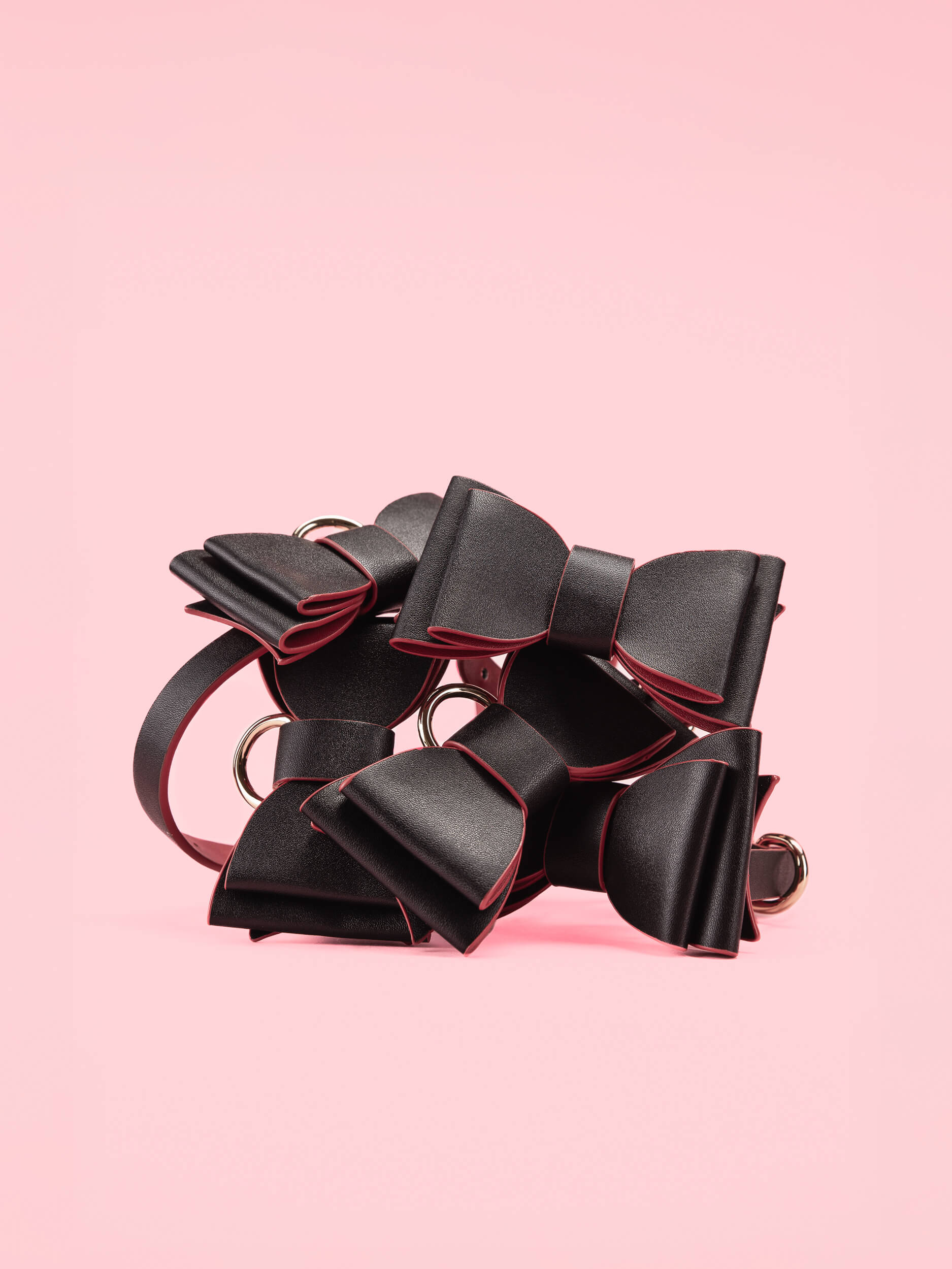 Set BDSM Elegant in Forma Papion image 1