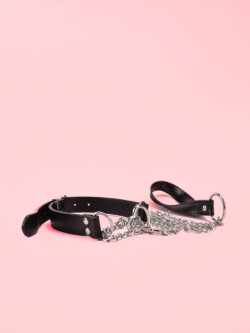 Choker Leash 2in1 image 2