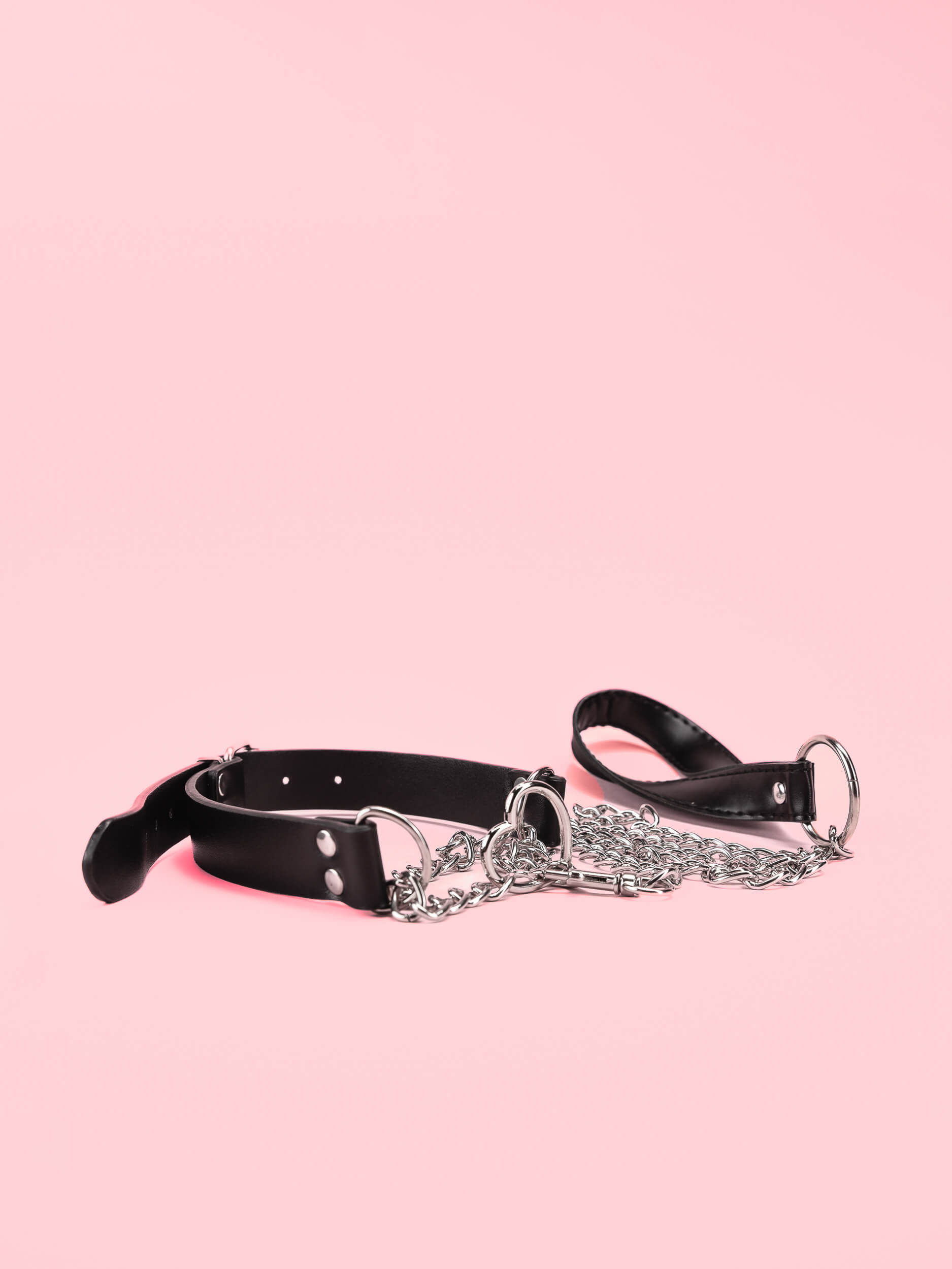 Choker Leash 2in1 image 2