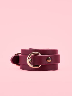 Catuse BDSM Premium Incheieturi image 2