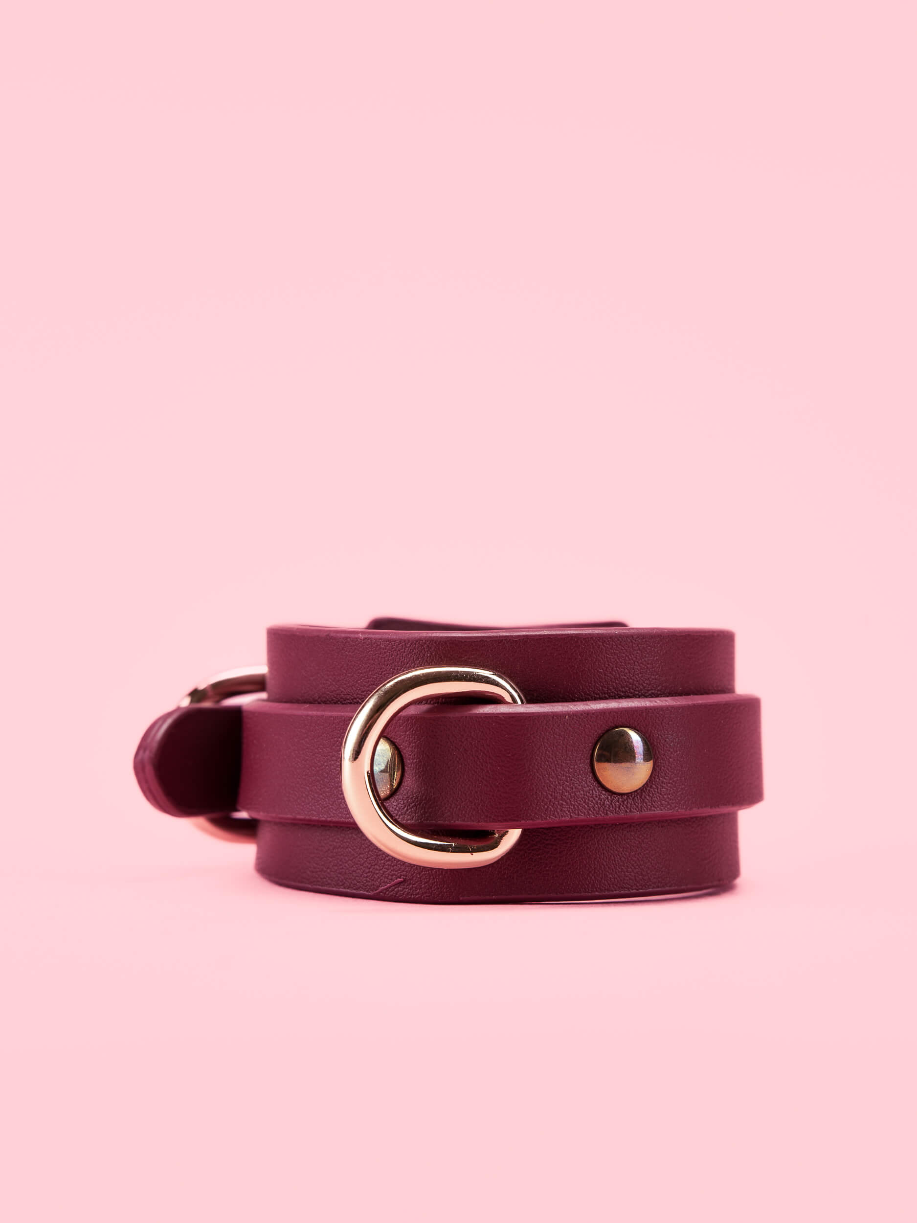 Catuse BDSM Premium Incheieturi image 2