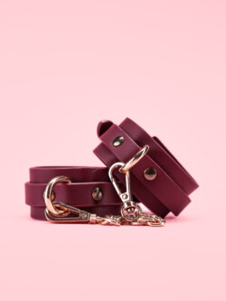 Catuse BDSM Premium Incheieturi image 3