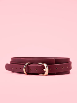 Lesa BDSM Premium cu Zgarda image 1