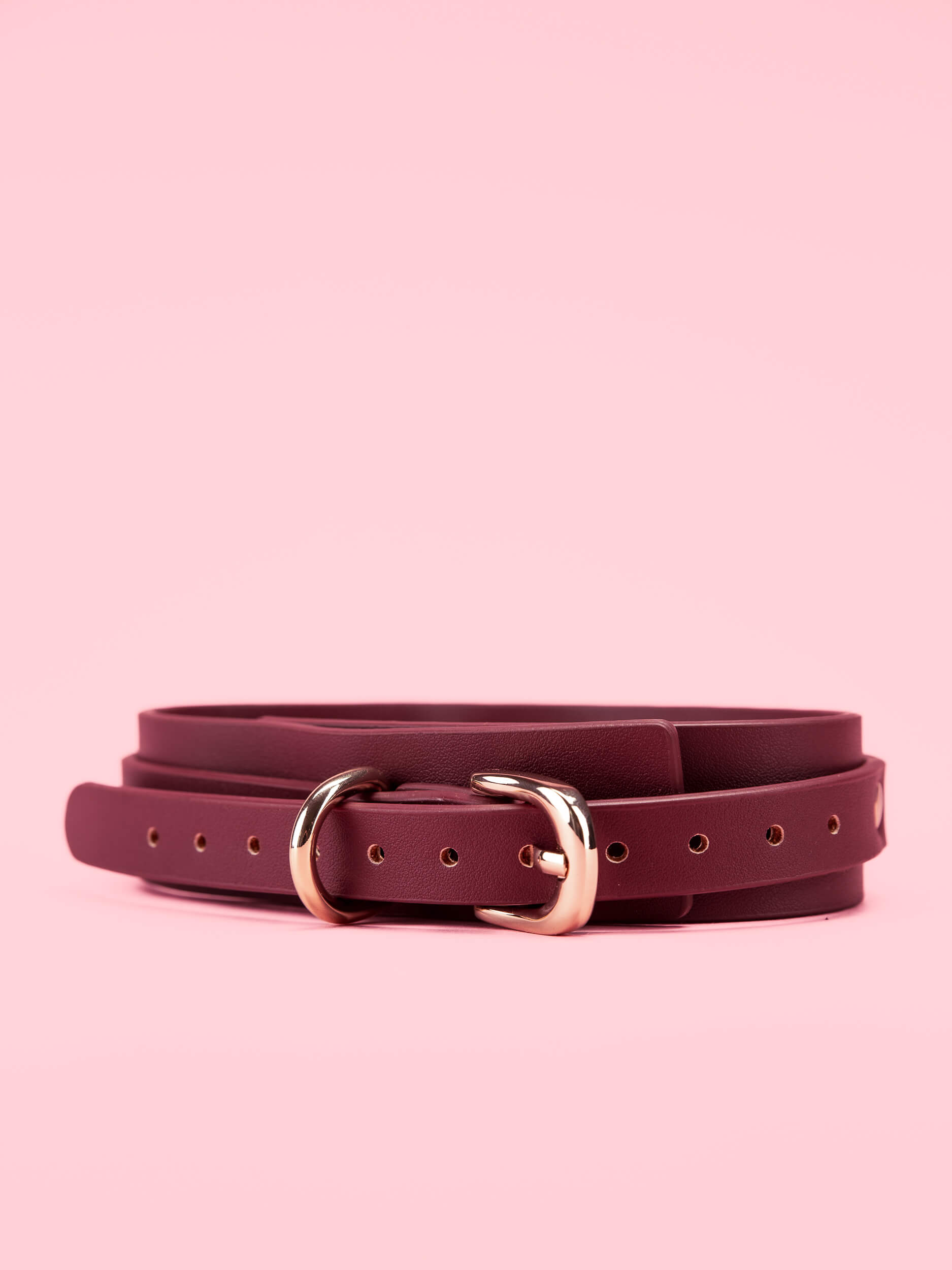 Lesa BDSM Premium cu Zgarda image 1