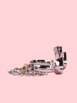 Catuse Argintii cu Lacate image 2