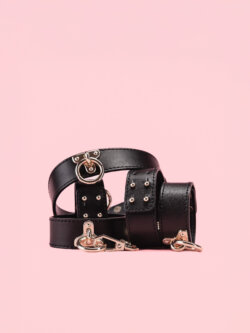 Cat's Jewel - Set BDSM Premium si Cutie image 3