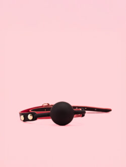 Set BDSM Elegant in Forma Papion image 6