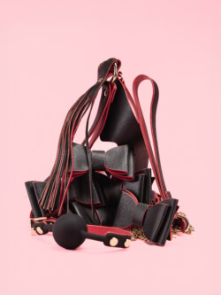 Set BDSM Elegant in Forma Papion thumbnail image