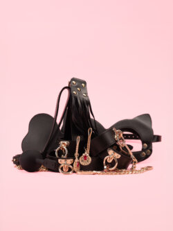 Cat's Jewel - Set BDSM Premium si Cutie thumbnail image