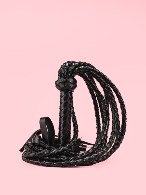 Hydra - Bici Incitant cu Multiple Capete