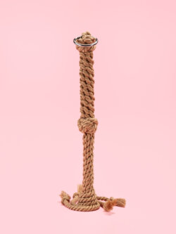 Flogger din Franghie image 2