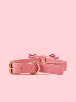 Lesa cu Guler Forma Papion cu Clopotel image 2