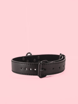 Lesa cu Guler din Piele Moale image 1