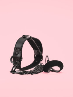 Lesa cu Guler din Piele Moale thumbnail image