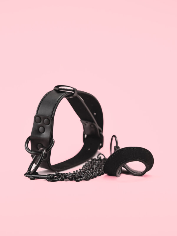 Lesa cu Guler din Piele Moale