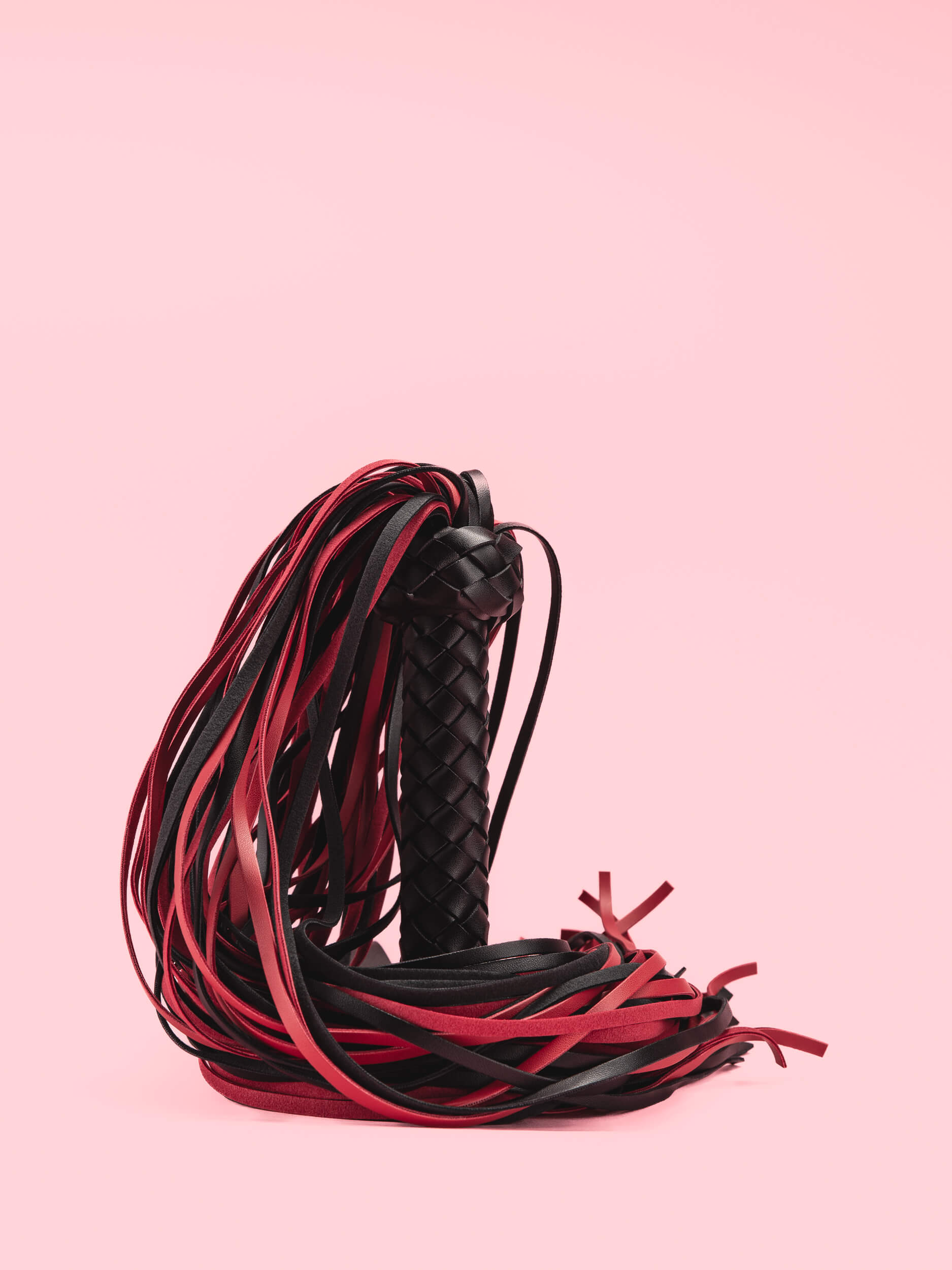 Bici Franjuri din Piele image 1