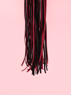 Bici Franjuri din Piele image 2