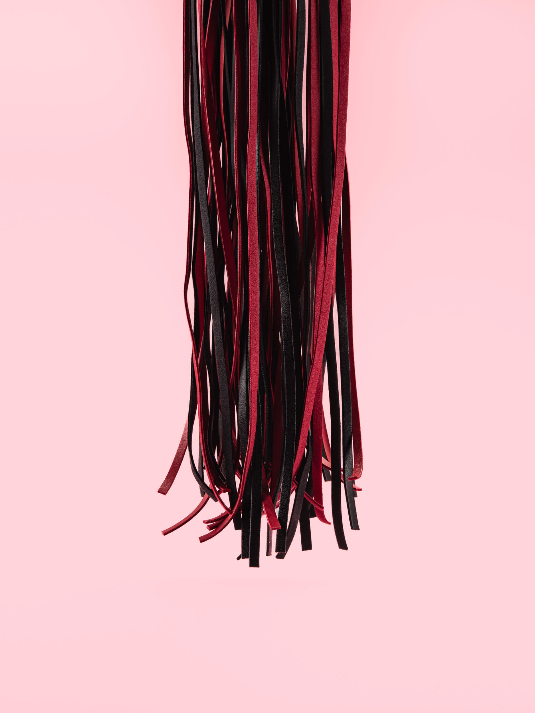 Bici Franjuri din Piele image 2