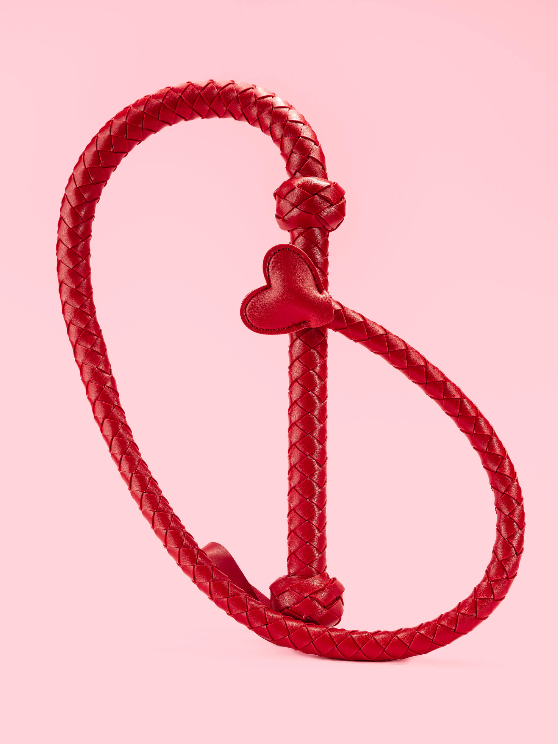 Bici Provocator din Piele cu Inima in Coada image 1