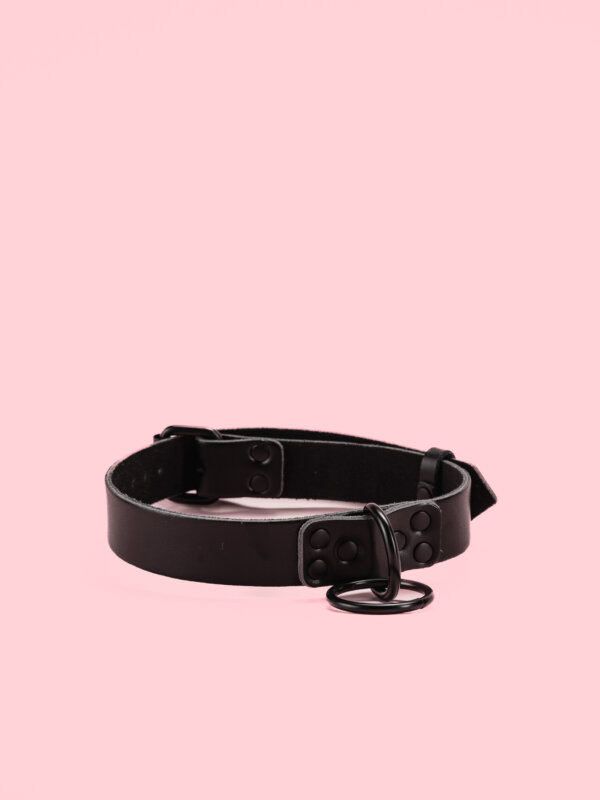 Zgarda cu Lesa din Piele Naturala