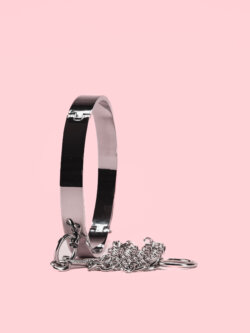 Choker din Otel cu Lesa image 2