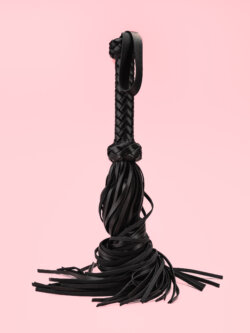 Bici Franjuri din Piele image 3