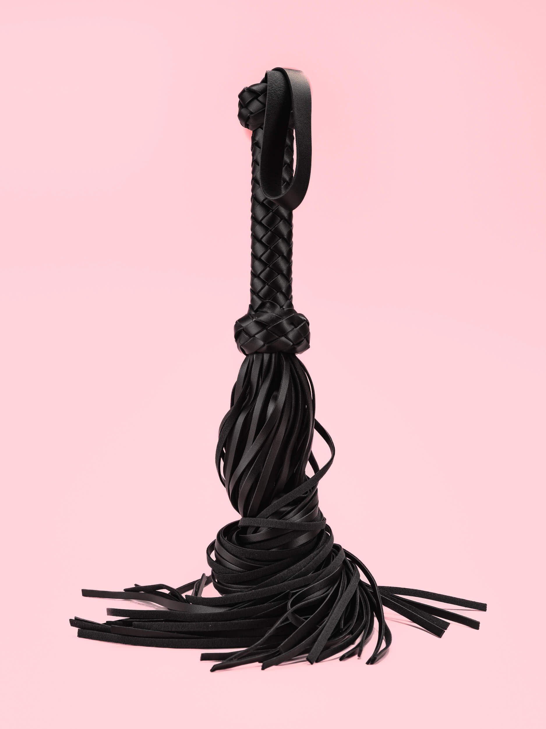 Bici Franjuri din Piele image 3