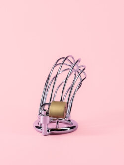 Cușcă de Castitate din Metal cu Lacăt image 5